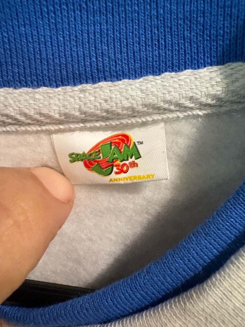 Champion Space Jam Sweatshirt Size L Gray Pullover - Picture 6 of 9